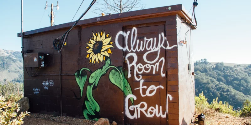 Ein brauner Schuppen, auf dem eine Sonnenblume gemalt wurde. Daneben der Schriftzug "Always Room to Grow".